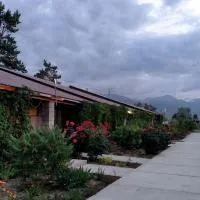Пансионат Абрикос, hotel v destinácii Dolinka