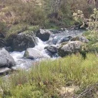 koselig hytte i natursjønne omgivelser, hotel 
