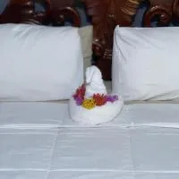 Auglo villa house, hotel i Black River