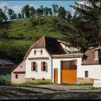 Bed & Wine Transylvania, hotell i Nemşa