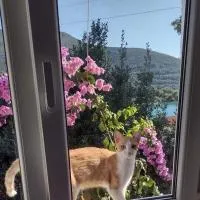 Dubravka 3, hotel din Luka