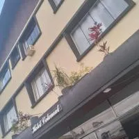Hotel Colonial, ξενοδοχείο σε Irati