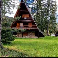 Planinska kuća Divna, hotel en Šišava