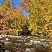 Twin Creeks, Waterfront Catskills Retreat, hotelli kohteessa Ellenville