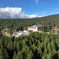 Swissotel Uludag Bursa, hotel en Bursa