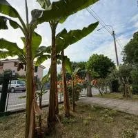 B&B Il Balcone Fiorito, hotel i Imola