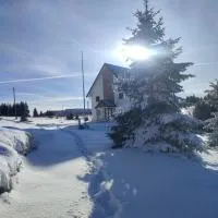Vila Golijat, hótel í Raška