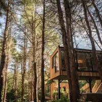 Burrenmore Nest - Luxury Forest Lodges with Hot Tubs & Sauna, hotel en Castlerock