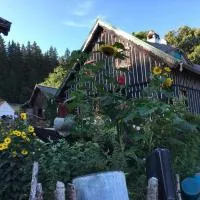 Roubenka na Šumavě, hotel en Zdíkov