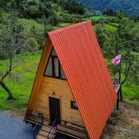 Cozy House Gulebi, hotel em K'eda
