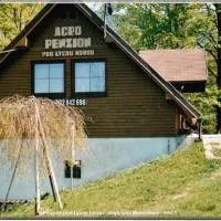 Penzion pod Lysou horou, Hotel in Malenovice