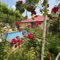 Friendly Cottage with small Pool, отель в Амбролаури