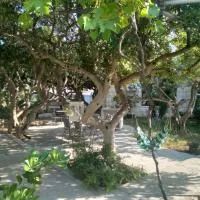 Apartments Franka, viešbutis mieste Sumartinas