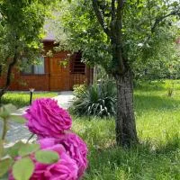 Cabana Maria, Cozia-Calimanesti, hotel en Caciulata
