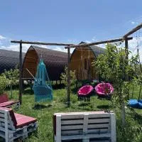 Guesthouse Snow Leopard - 'Ak Ilbirs' – hotel w mieście Tong