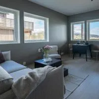 Steam Apartments - Eidhøgda 6, hótel í Tromso