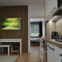 Apartment Reden Park - Free Parking - easy check-in, hotel sa Chorzów