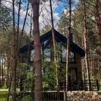 WILLA LABA CHAŃCZA nad zalewem, domek w lesie z opcją balii, jacuzzi do 10 osób, wieczory panieńskie, хотел в Życiny