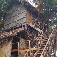 Tree Home Adventure, hotel near Aniwa Airport - AWD, Isaka