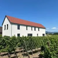 COLMAR and C0, hotel din Ingersheim