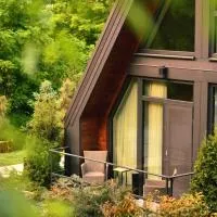 Chalet by Provence Suceava – hotel w Suczawie
