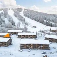 Full apartment with sauna, Kungsberget, Hotel in Järbo