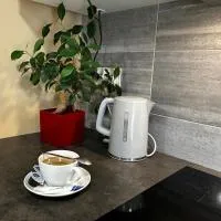 Apartamenty pod Szczęśliwym Koniem, hotel 