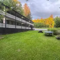 West Wind Motel, hotel i Fleischmanns