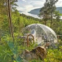 Glassigloo med panoramautsikt - Nordlys og stjernehimmel - Fosen, Hotel in Husby