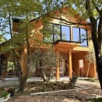 Bujtina Guri Hanit, hotel en Ferr-Shkopet