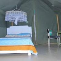 Mara green camp, hotel poblíž Ol Kiombo Airport - OLX, Masai Mara