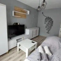 MagMar Studio Byczyna, отель в городе Бычина