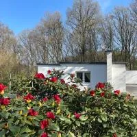 Dhünntalsperre Ferienhaus Urlaub in schönster Natur, hotel v destinaci Wermelskirchen