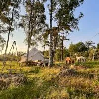 Glamping med alpackor, hotel em Laholm