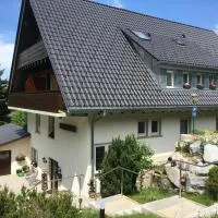 Forsters Schwarzwald Pension، فندق في فيلدبرج