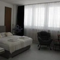 Résidence Appartment Gebenstorf, hotel u gradu Gebenstorf
