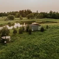Vienkiemio oazė - Skandinaviškas namelis su vaizdu į tvenkinį, hotel v destinácii Galvokai