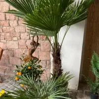 Gemütlich & einzigartig: Altbauloft in Edenkoben, hotel Edenkobenben