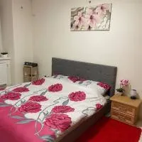 U Tonyho - Apartmán v centru Strakonice 2-kk, hotel in Strakonice