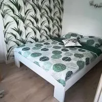 Apartament Palmowy Harnaś, hotel em Rytro