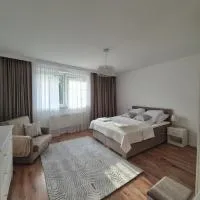 Apartament Pod Kamienną Bramą、ホイニツェのホテル