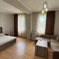King, hotel din Martuni