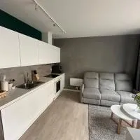 Cozy little apartment in Ålesund，奧勒松的飯店