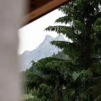 Gasthof Schöntal，維爾芬翁的飯店