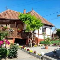 Casa Teonia, hotel v mestu Tăşnad