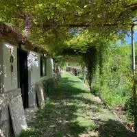 Tra Fiori e Antichità, отель в городе Cerchiara