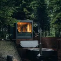 Sidrabgrava - Luxury cabin in woods, hotel i Limbaži