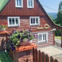 Penzion V Kopci, hotel v destinaci Kořenov