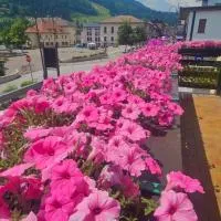 Affittacamere Fiocco di Neve, Hotel in Tarvis