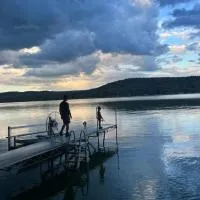 Peaceful Cayuta Lake Cottage with early check in โรงแรมในAlpine